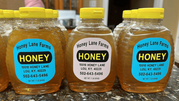 Three plastic bottles of Honey by Honey Lane Farms with yellow lids, displaying labels with the farm's name, address, and contact number on a countertop.